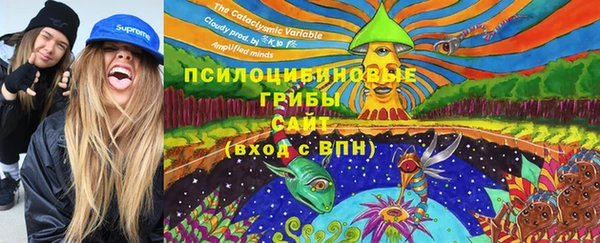 сатива Нефтекумск