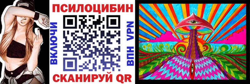 маркетплейс как зайти  Южно-Сухокумск  Галлюциногенные грибы Psilocybine cubensis  продажа наркотиков  ОМГ ОМГ сайт 